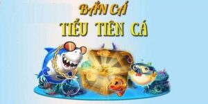 Bắn cá tiểu tiên cá là hình thức game thủ nạp tiền và quy đổi thành xu vàng để chơi